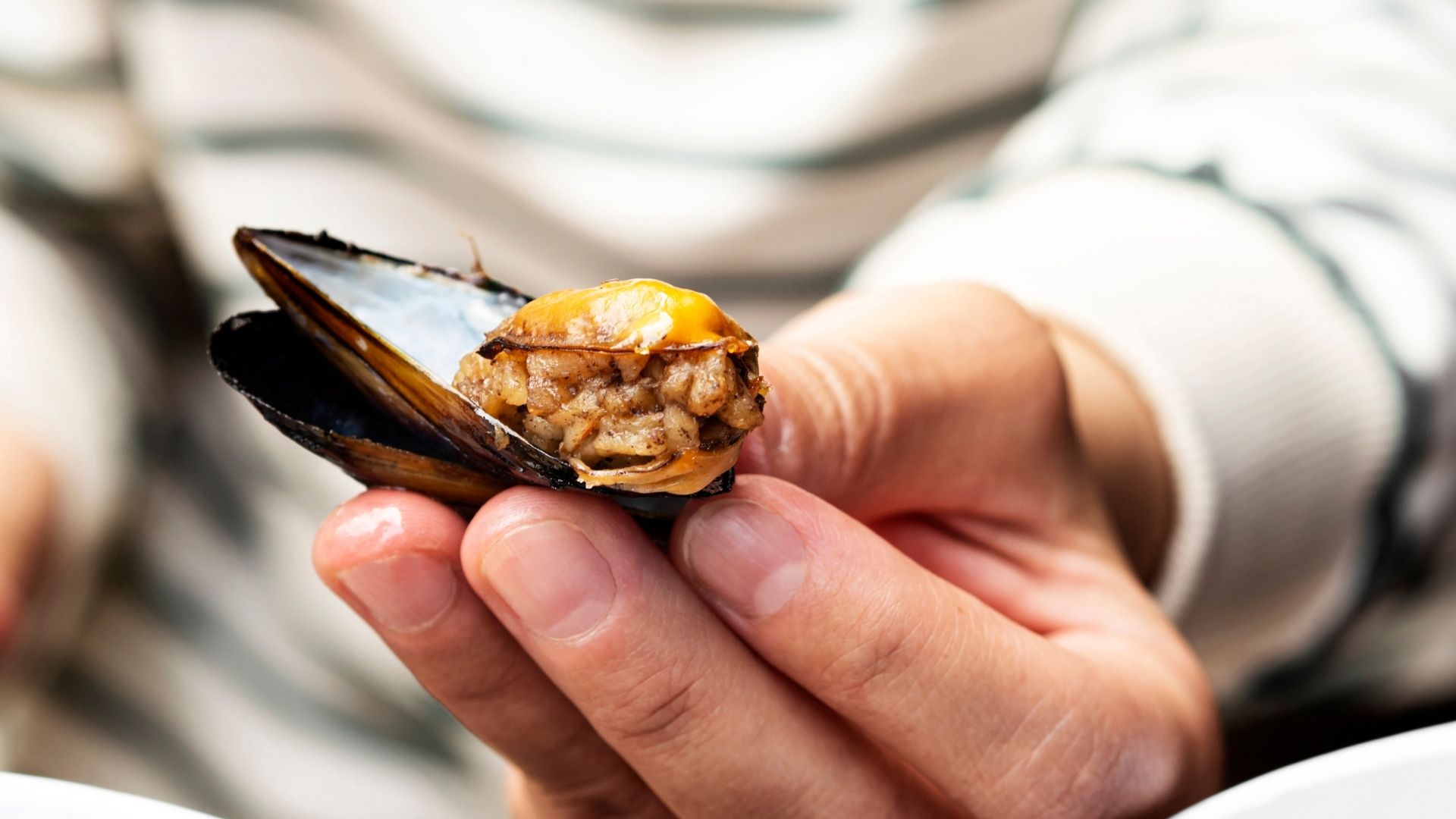 stuffed mussels in mama fatma